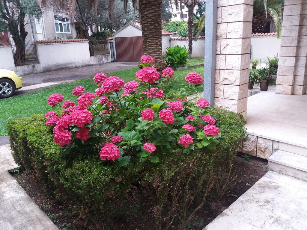 Bravo Apartmani Budva Zewnętrze zdjęcie